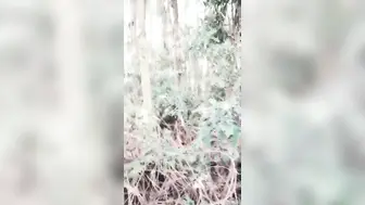 寂寞的大学生情侣，上完网课后无聊，相约到茶园野战