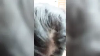 气质高挑新人妞女仆装【下篇】给男友口交含屌，细心拍摄角度好再到床上黄瓜玩穴
