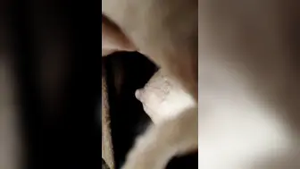 【有奶水的小少妇】农村小媳妇，留守在家寂寞了，跑到小树林里，挤奶水，抠骚逼，紧张刺激有趣