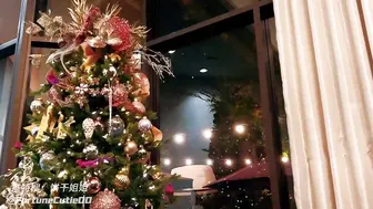 饼干姐姐  圣诞